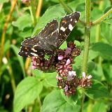 0407F 04 Altenau Radweg